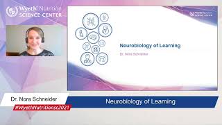 Neurobiology of learning