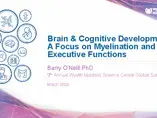 Brain & Cognitive Development: A Focus on Myelination and Executive Functions Brain & Cognitive Development: A Focus on Myelination and Executive Functions