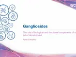 Gangliosides Gangliosides