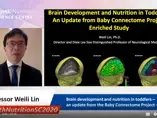 Brain development and nutrition in toddlers