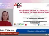 Microbiota and the social brain Dr Siobhain O’Mahony