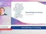 Neurobiology of learning