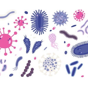 Fecal Microbiota In Premature Infants Prior To Necrotizing Enterocolitis