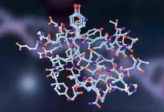 High Beta-Palmitate Fat Controls the Intestinal Inflammatory Response and Limits Intestinal Damage in Mucin Muc2 Deficient Mice