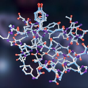 High Beta-Palmitate Fat Controls the Intestinal Inflammatory Response and Limits Intestinal Damage in Mucin Muc2 Deficient Mice
