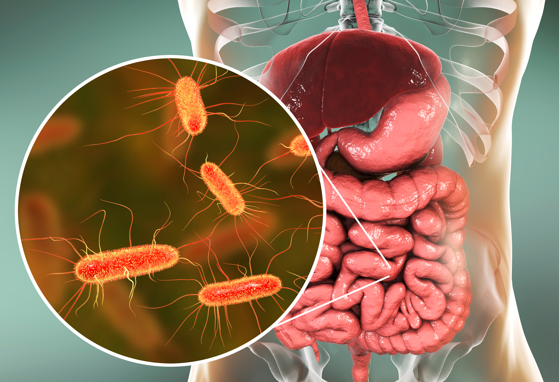 Infant microbiome: First gut bacteria may have ‘lasting impact’ on risk of chronic diseases