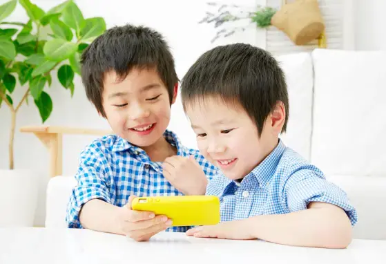 Low iron, vitamin B12 reserves linked to behavior concerns in young boys