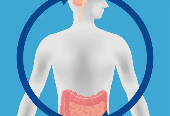 Stress hormone may be ‘middle man’ in gut-brain communication