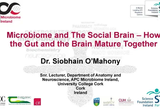 Microbiome and The Social Brain How the Gut and the Brain Mature Together