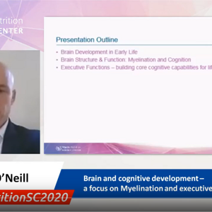 Brain and cognitive development – a focus on myelination and executive functions - Dr. Barry O’Neill