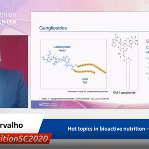 Hot topics in bioactive nutrition – gangliosides - Dr Ryan Carvalho