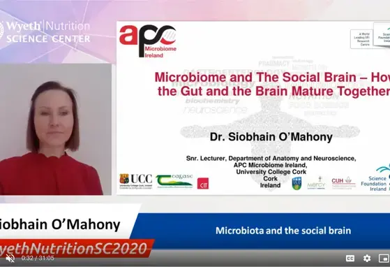 Microbiota and the social brain Dr Siobhain O’Mahony
