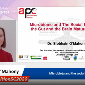 Microbiota and the social brain Dr Siobhain O’Mahony