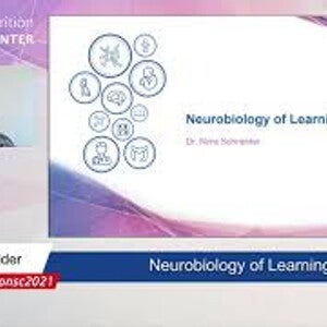 Neurobiology of learning