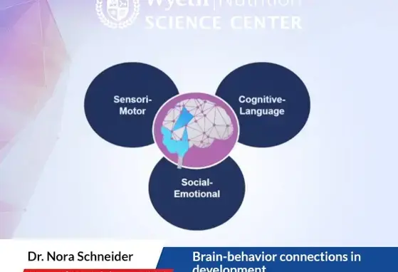 Brain-behavior connections in development - Dr. Nora Schneider