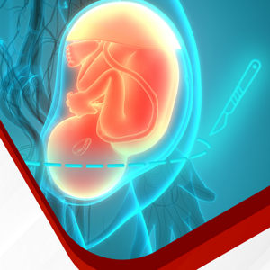 WNSC Learning Lead 2024 C-Section