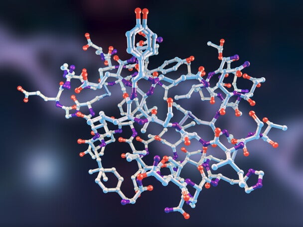 High Beta-Palmitate Fat Controls the Intestinal Inflammatory Response and Limits Intestinal Damage in Mucin Muc2 Deficient Mice
