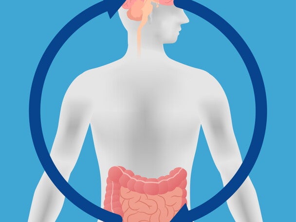 Stress hormone may be ‘middle man’ in gut-brain communication